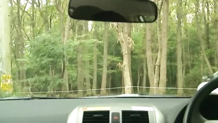 NSPS-111 True Story Of A Man Proud Of Her Post There Has Been Netora M