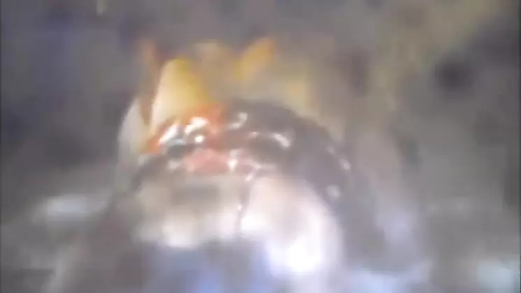 REAL Mom Son 2147 story