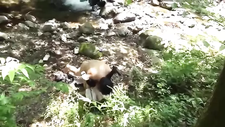 SORA-197 Shady M Ms Girl And Outdoor Body Hold Club HR G Cup