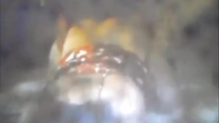 Incest Mom And Son Compilation