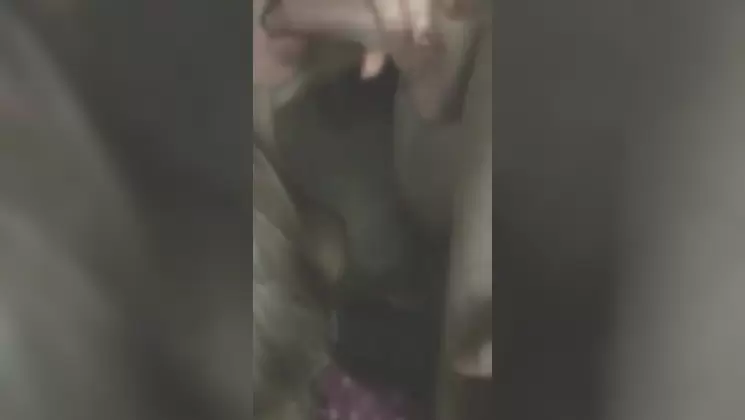 Nicole Ansiton Amateur Blowjob