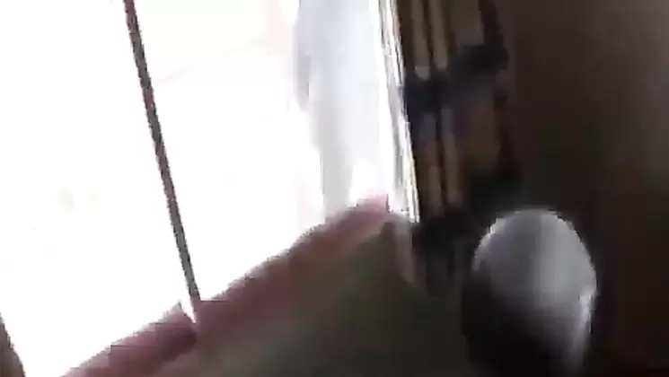 Gianna Michaels Hollywod Hardcore