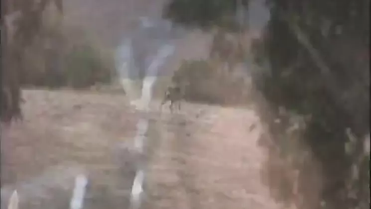 Whoriental Sex Academy 7 Full Movie