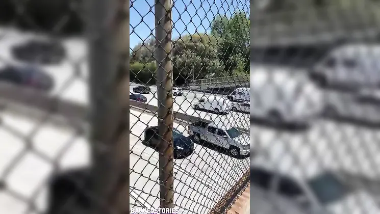 Young Wild And Free The Tits - Angel Youngs