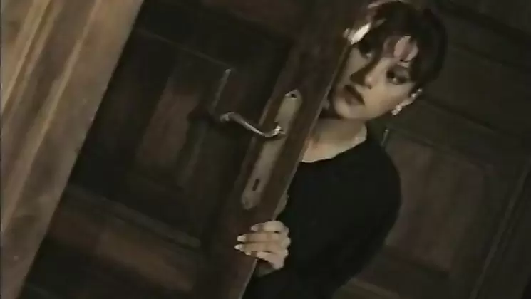 (VINTAGE MOVIE) Petits Plaisirs En Famille  La Famiglia 1998