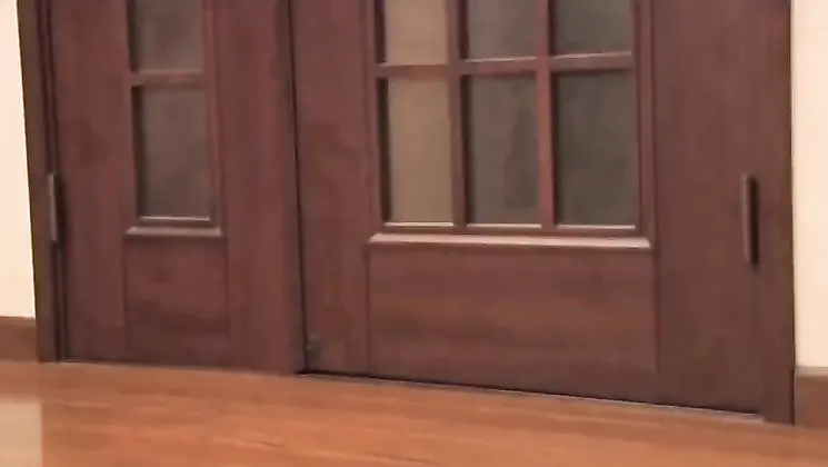 NSPS 035 Dutch Wife Swapping Daughter Abstinence