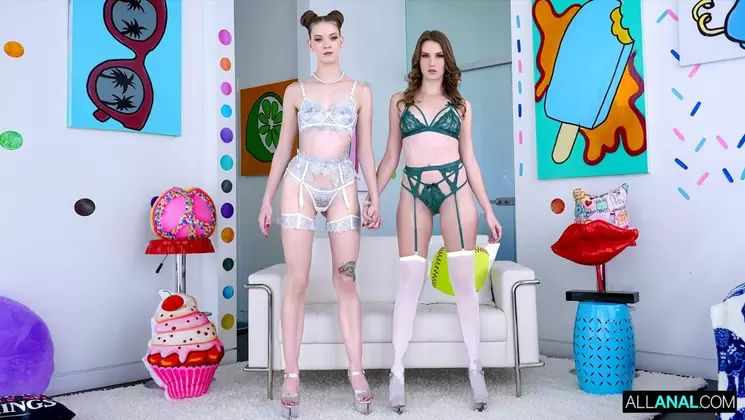 AllAnal: Ashley Erin’s Gorgeous Gapes On PornVe