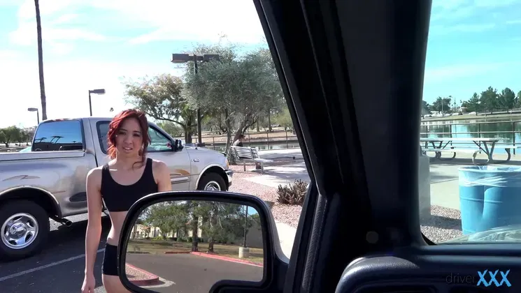 Persuasive passenger