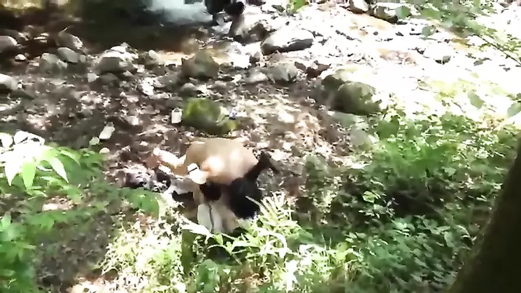 Yama To Sora SORA 197 Shady M Ms  Girl And Outdoor Body Hold Club HR